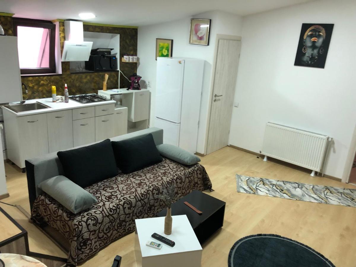 Serban Home Arenele Romane Marius Nasta Boekarest Buitenkant foto